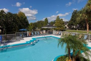 Pool area with sun chairs and palm trees