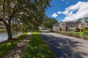Walkway through Wellington Woods