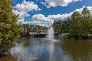 Lake with fountain and trees